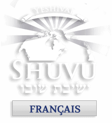 logo_shuvu_web_francais_228x200