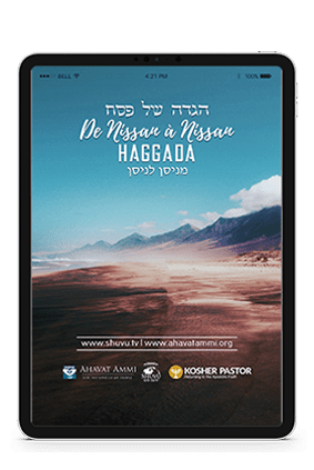 tablet_publications_FRE_haggadah